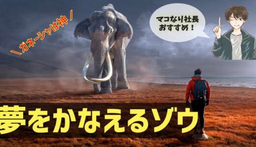 夢をかなえるゾウ【マコなり社長解説】名言豊富！人生を変えたい人必読！【まとめ】